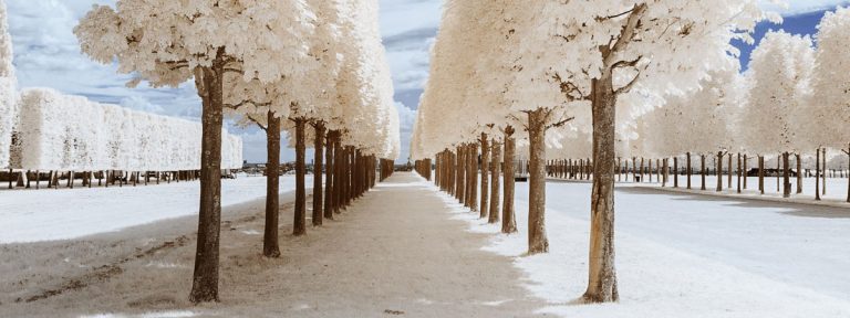 Infrared photography tutorial