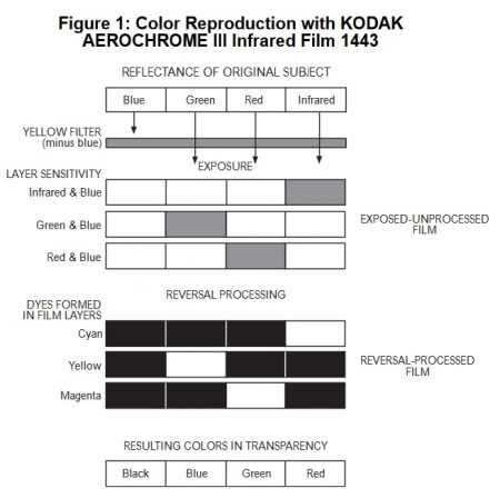 Illustration schématique des spécifications spectrales de la pellicule Kodak Aerochrome.